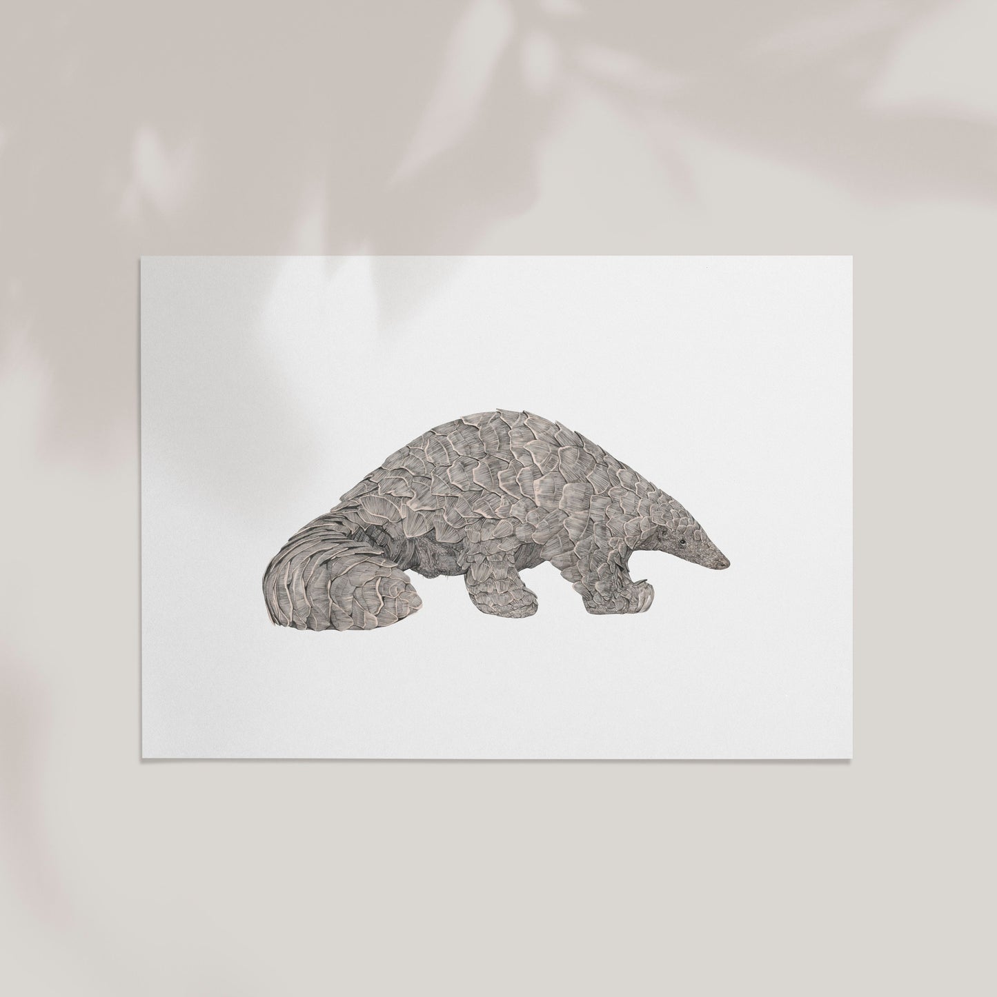 Pangolin Print