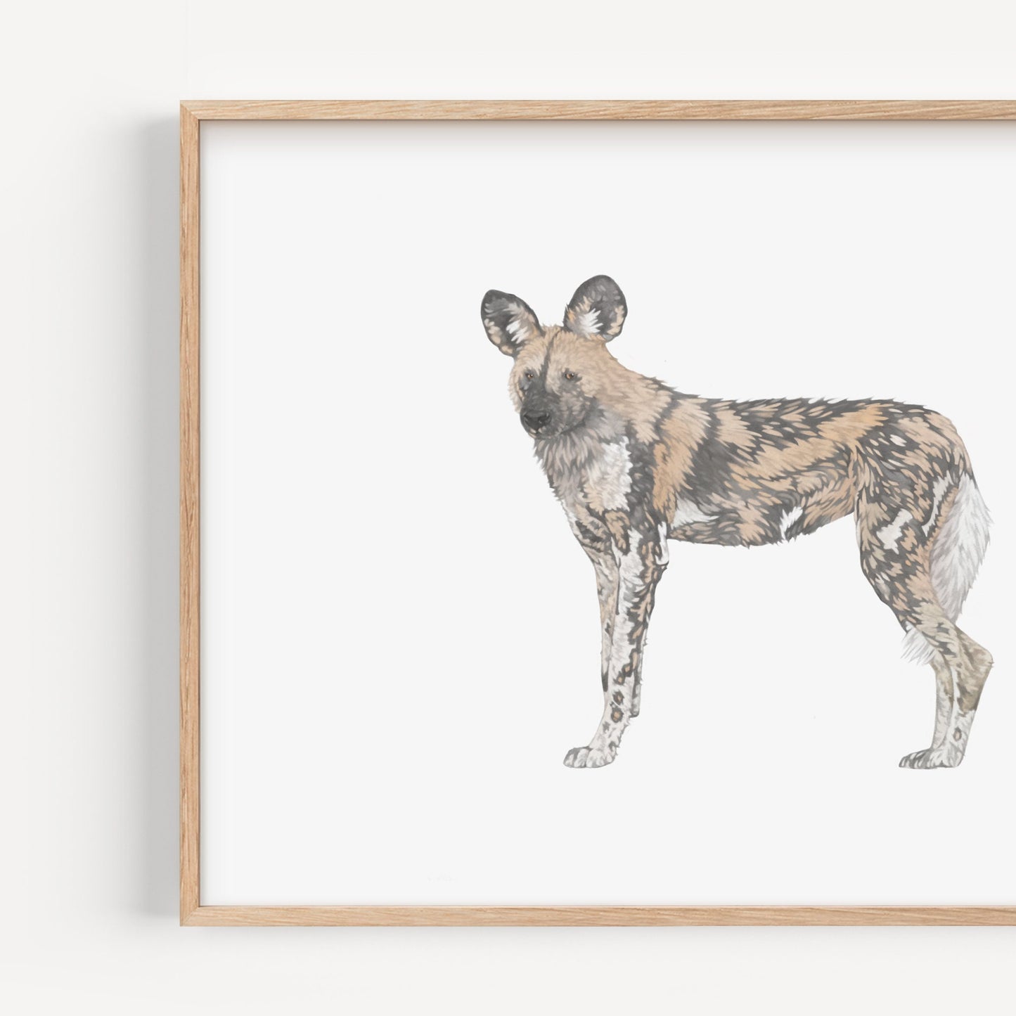 African Painted Dog Print
