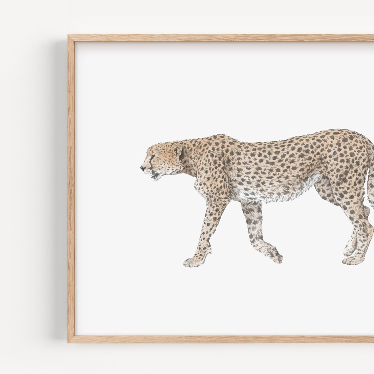 Cheetah Print