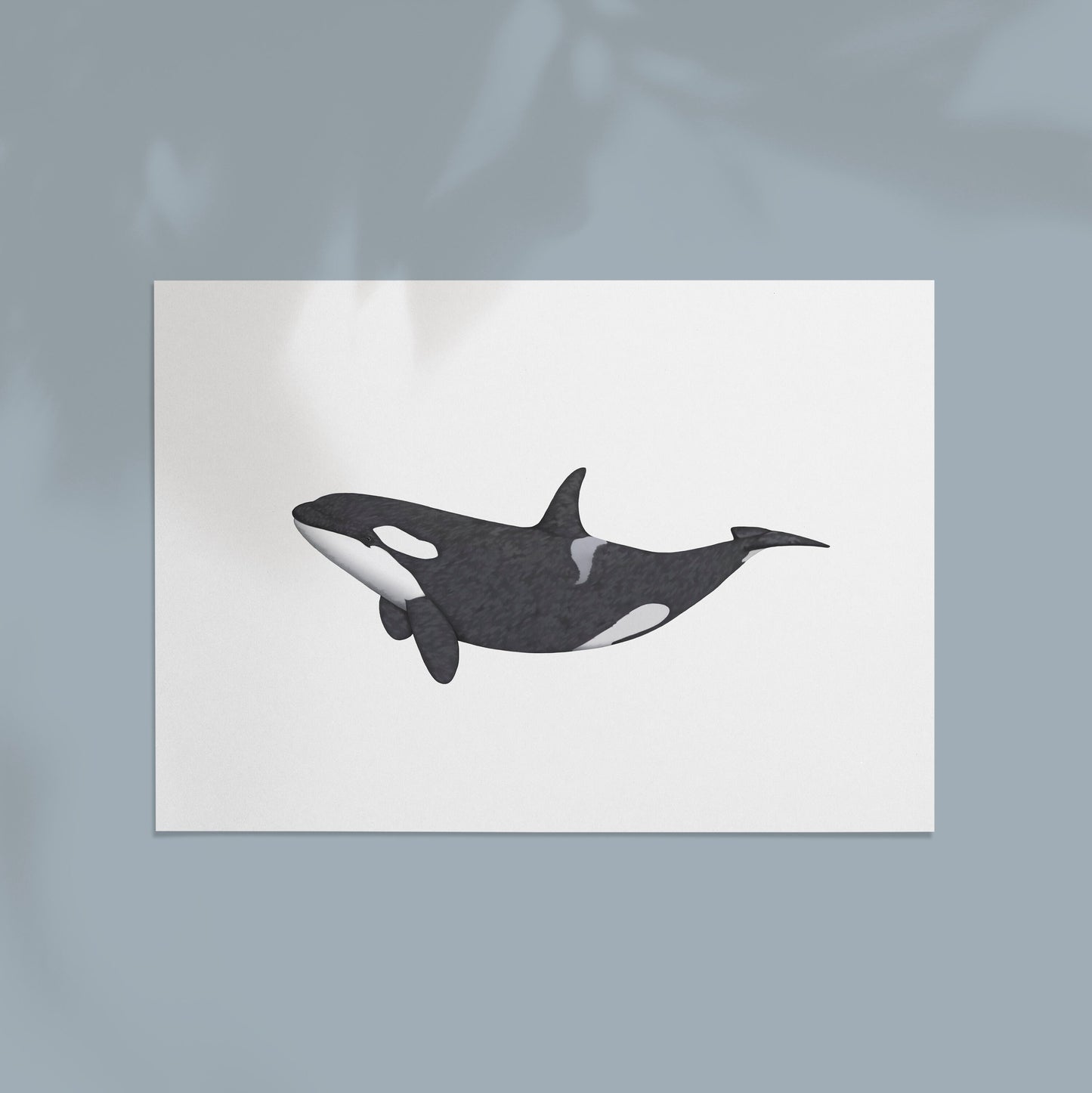 Orca Print