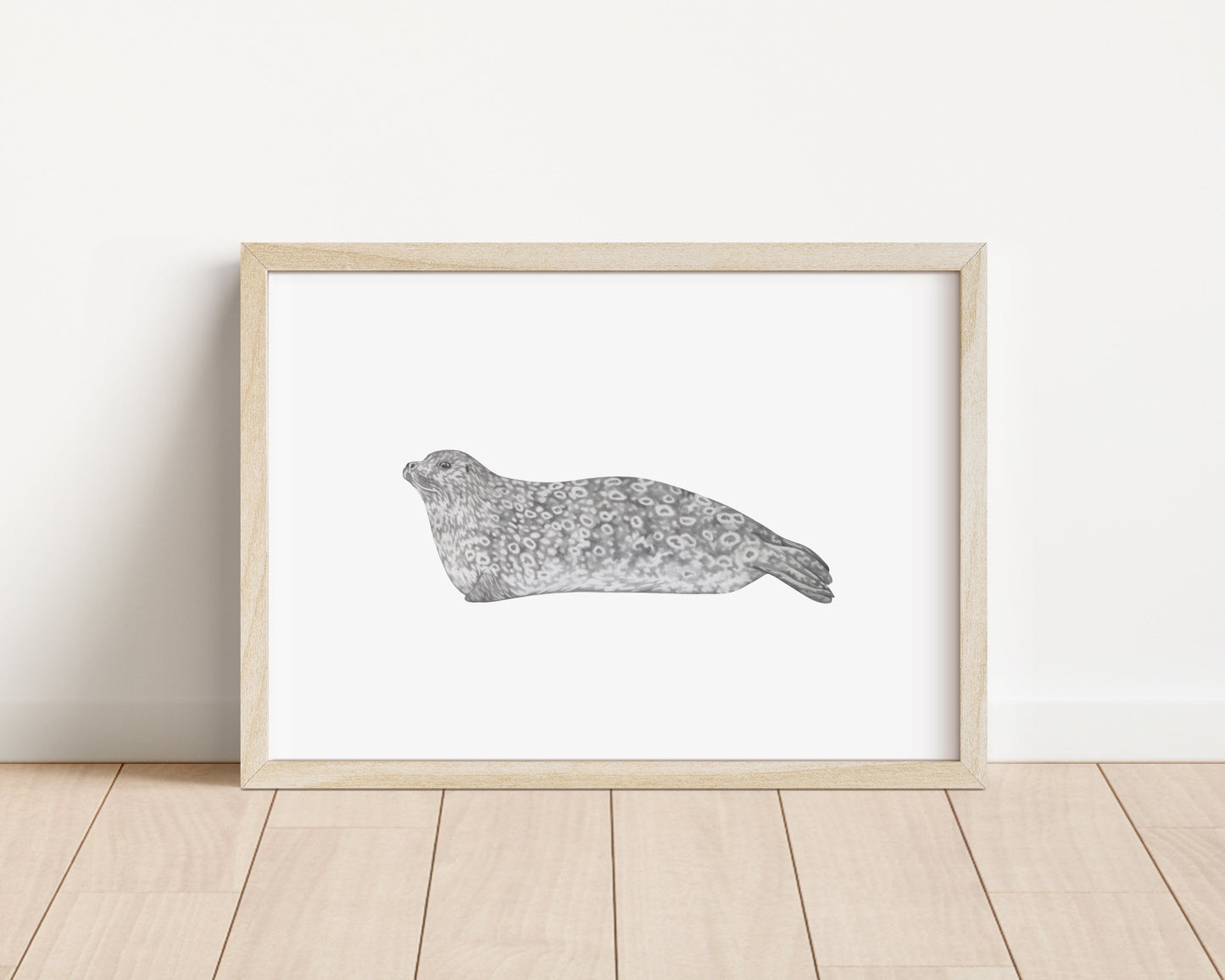 Ringed Seal Print