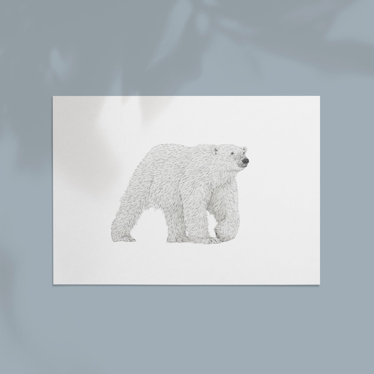 Polar Bear Print