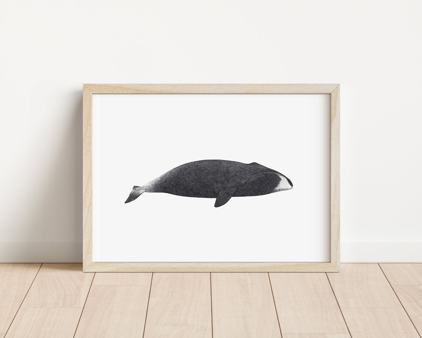 Bowhead Whale Print