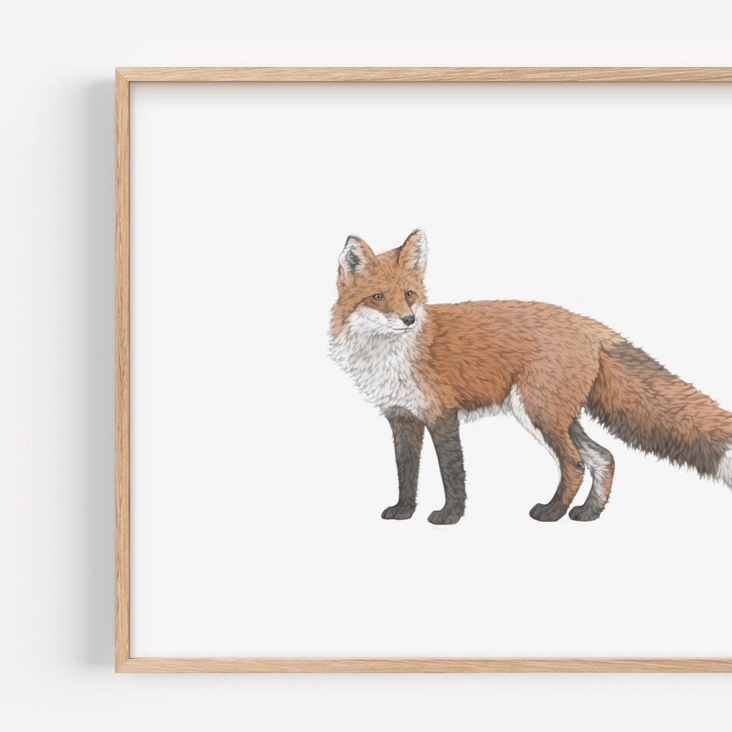 Fox Print