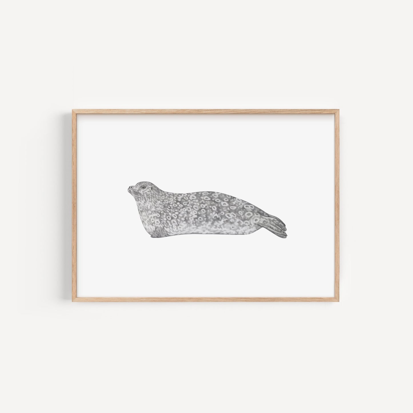 Ringed Seal Print