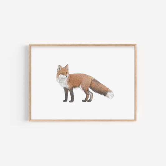 Fox Print