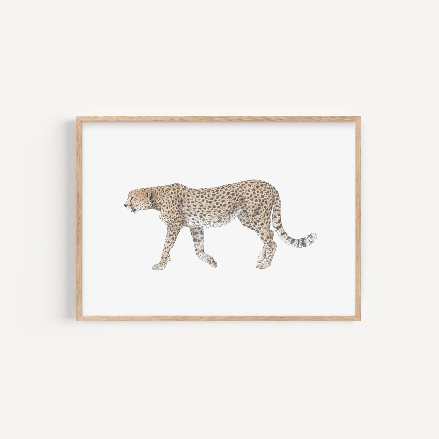 Cheetah Print