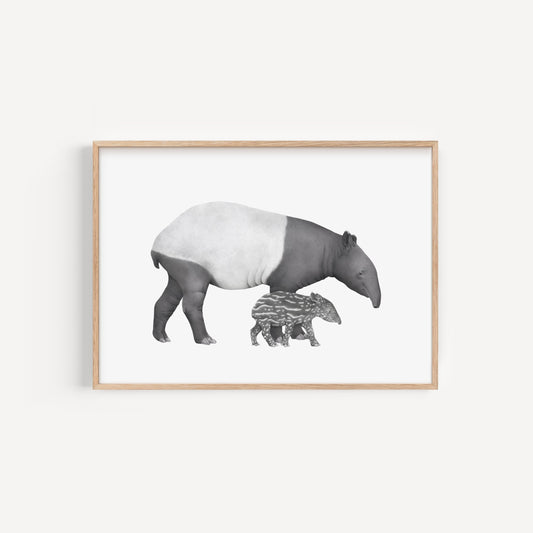 Tapir Mother and Baby Print