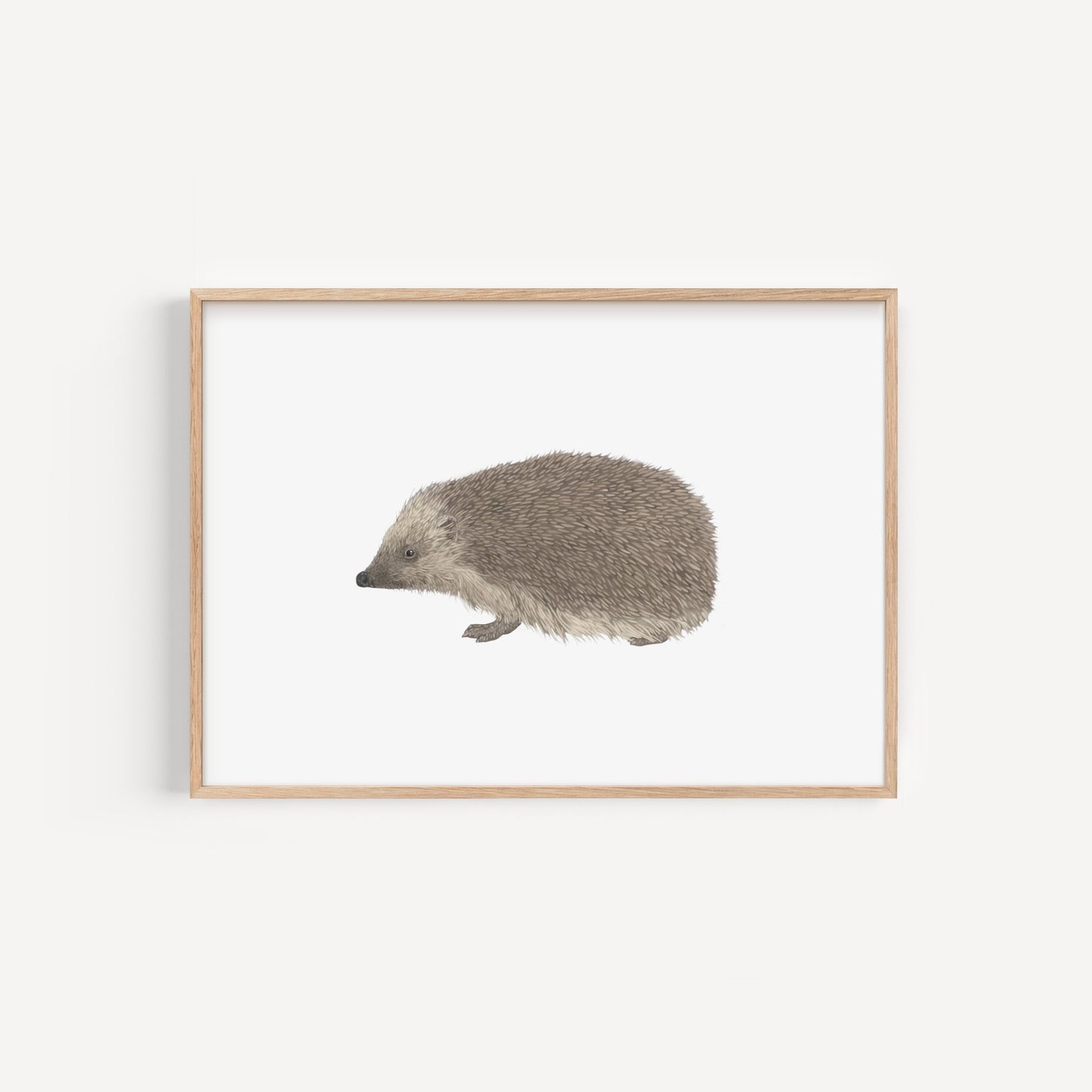 Hedgehog Print