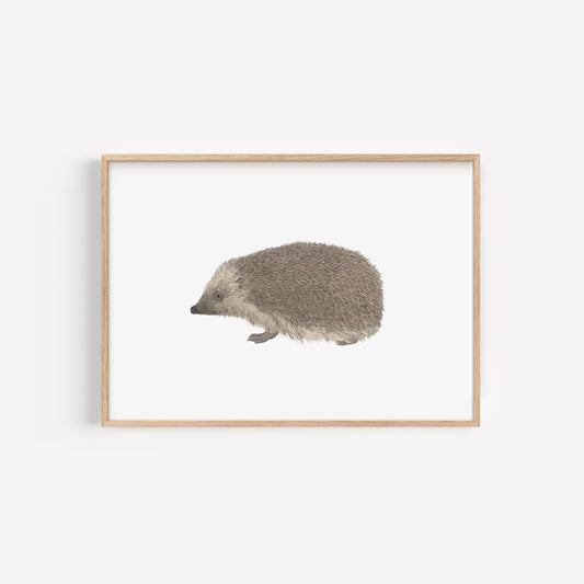 Hedgehog Print