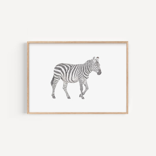 Zebra Print