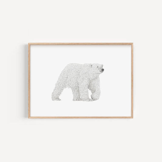 Polar Bear Print