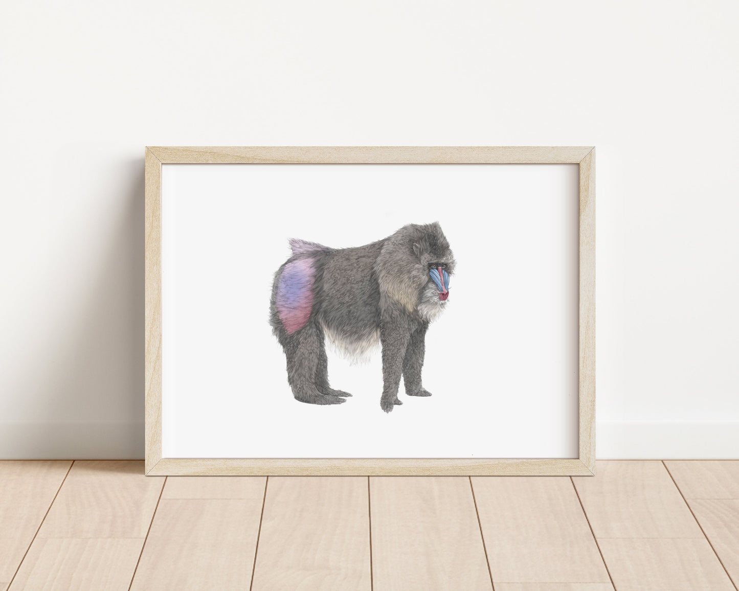 Mandrill Print