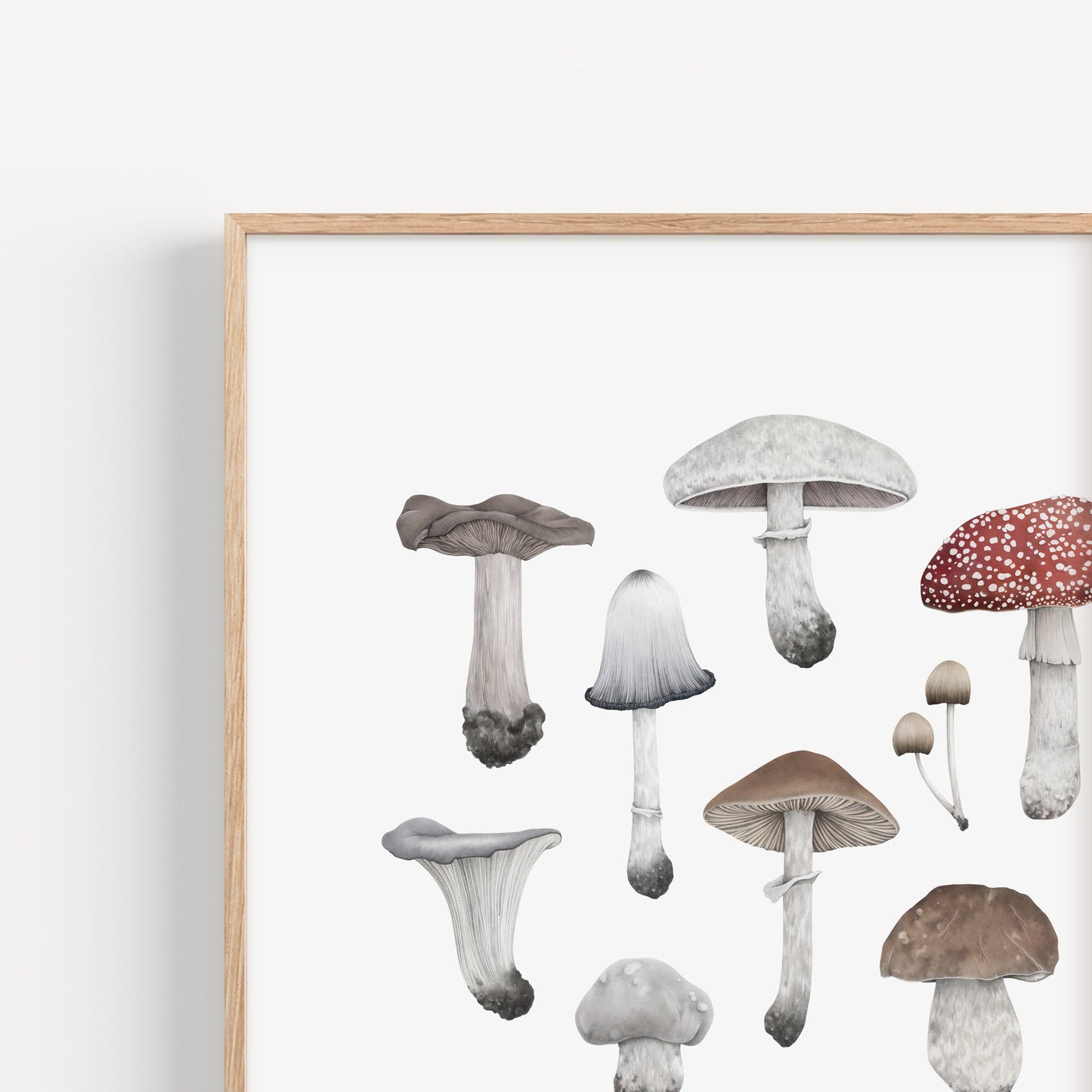 Mushroom Species Square Print