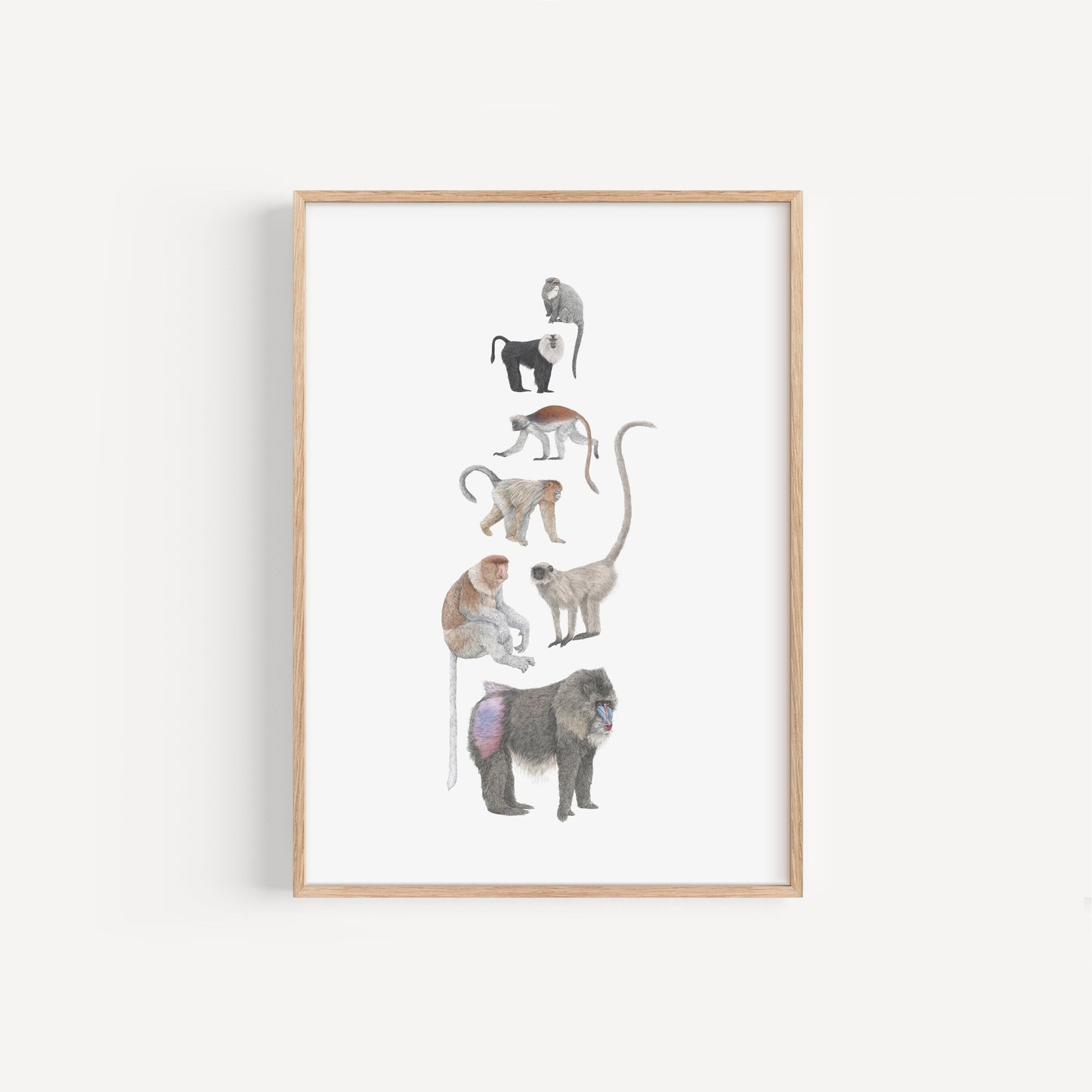 Monkey Species Print