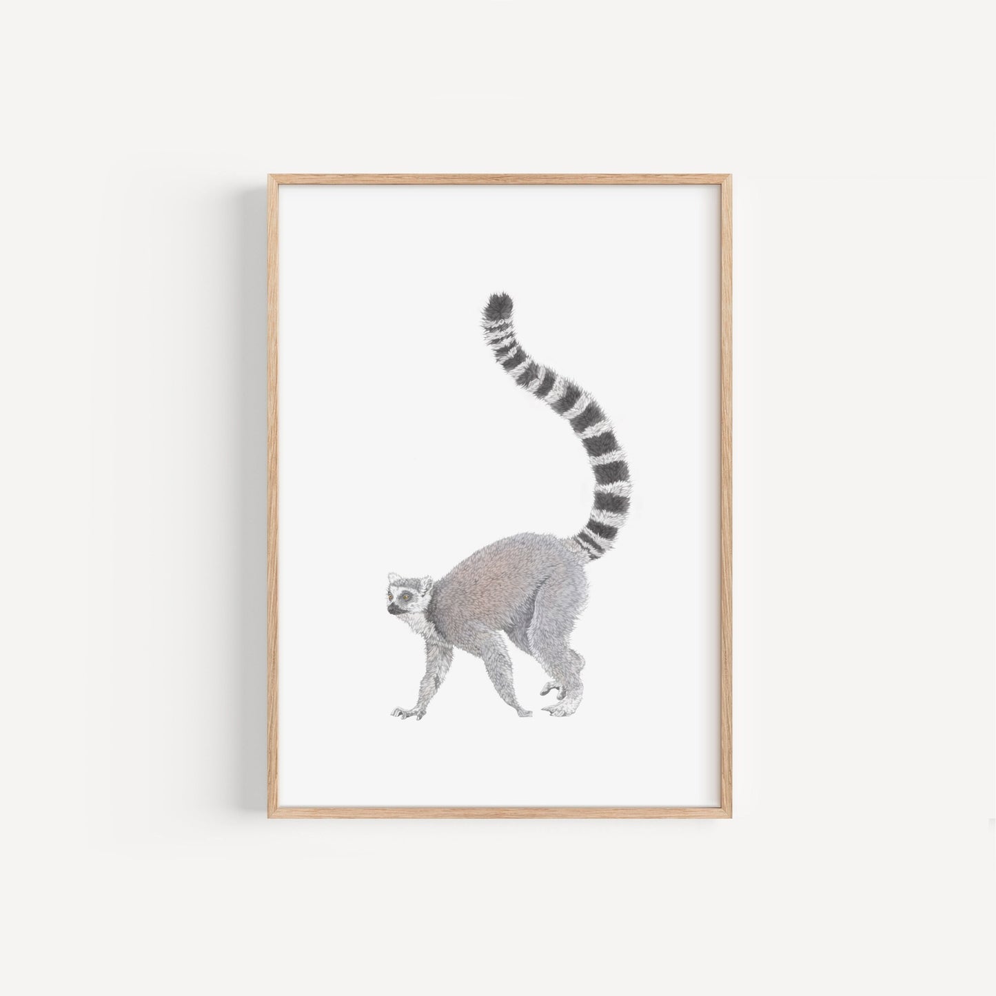 Ring Tailed Lemur Print