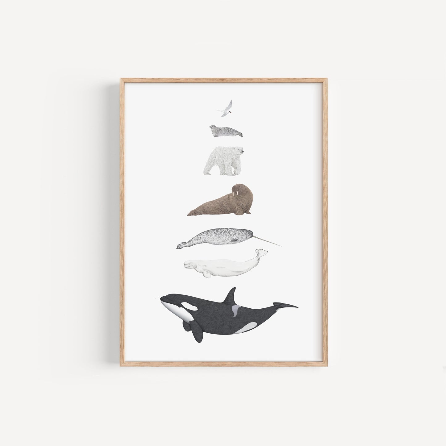 Arctic Species Print