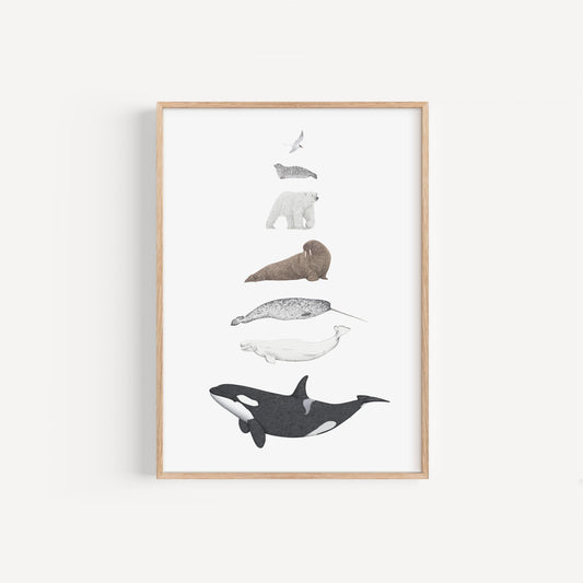 Arctic Species Print