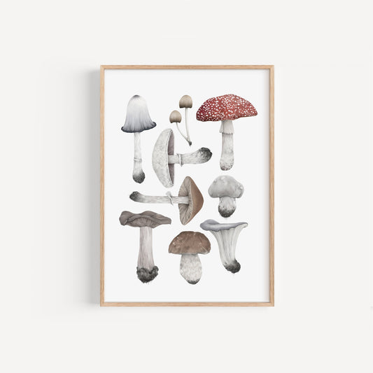 Mushroom Species Print