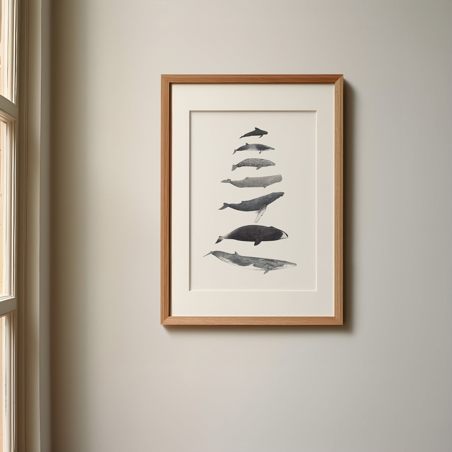Whale Species Print