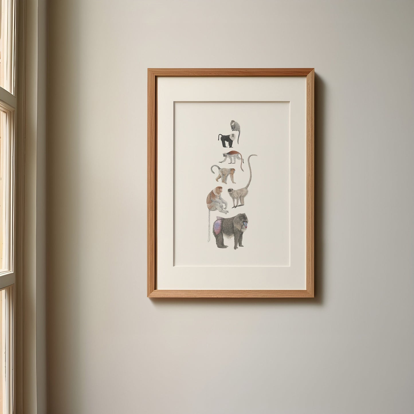 Monkey Species Print