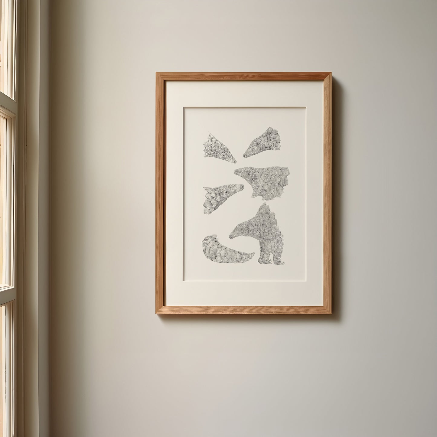 Pangolin Sketches Print