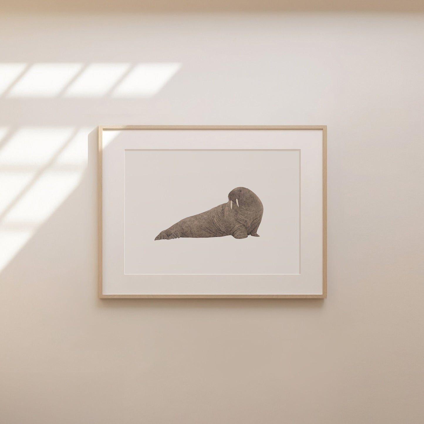 Walrus Print