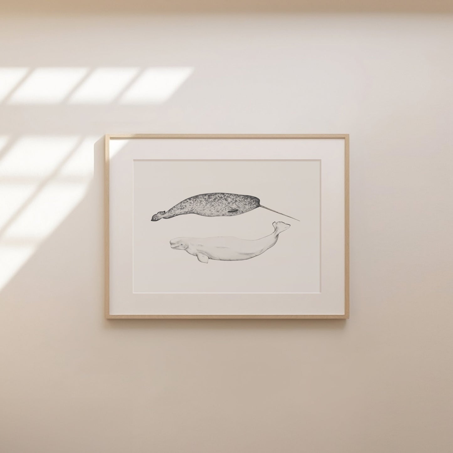 Narwhal and Beluga Whale Print