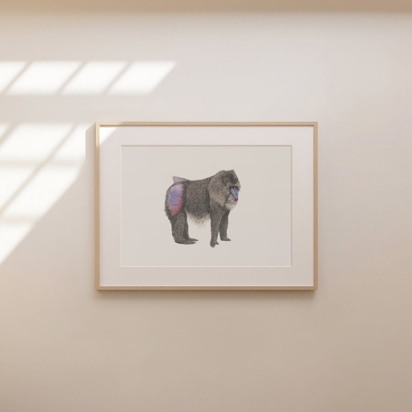 Mandrill Print