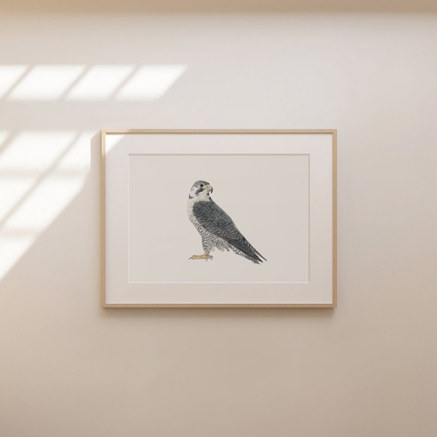 Falcon Print