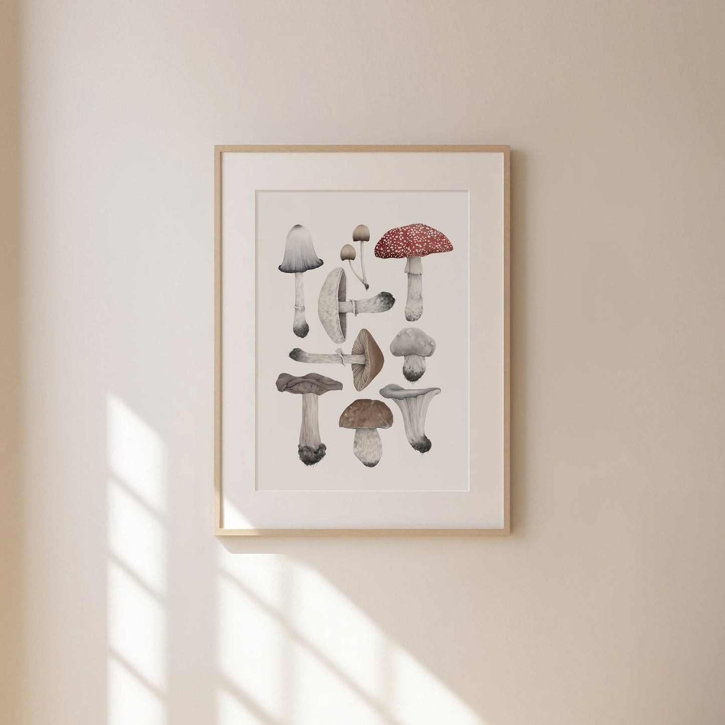 Mushroom Species Print