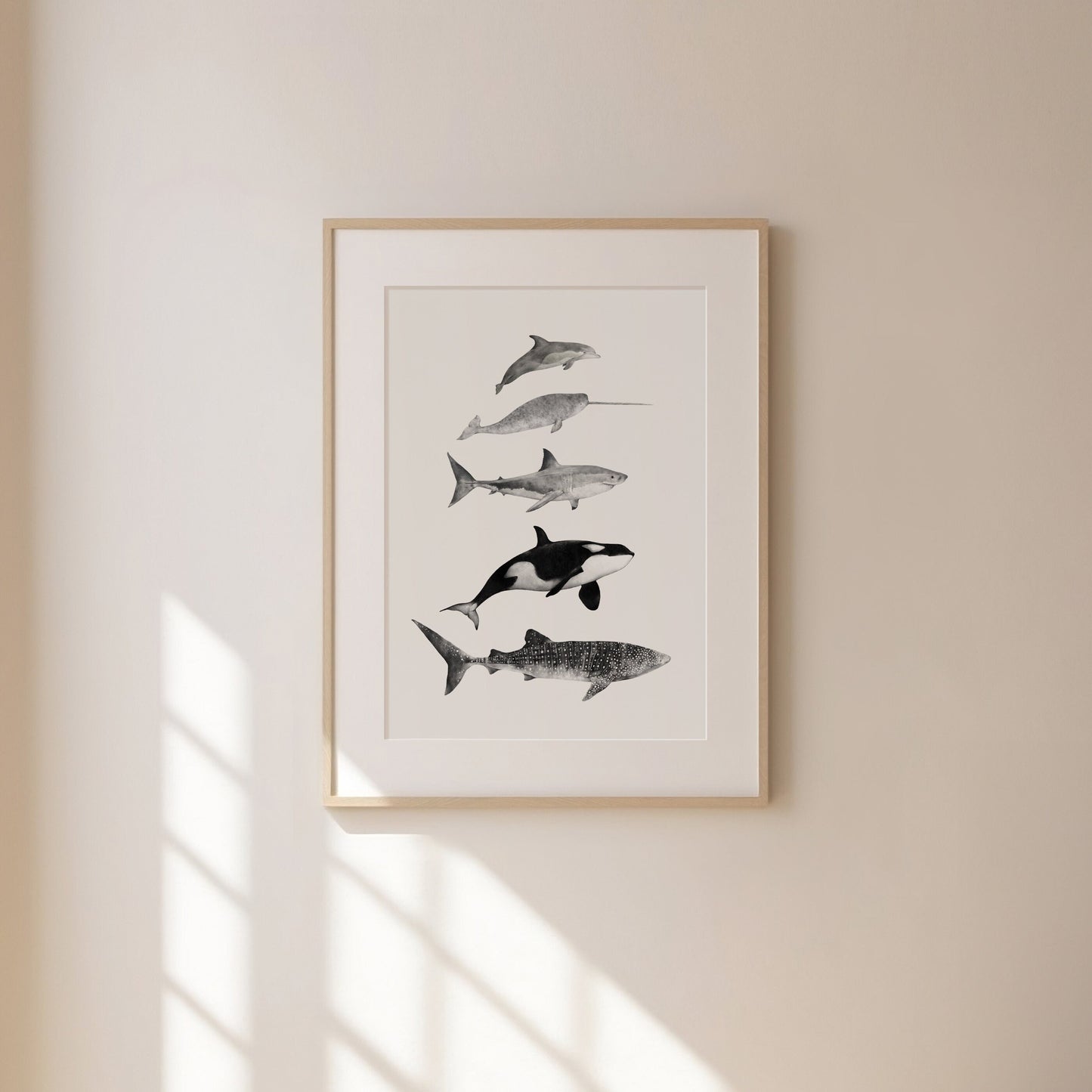 Sea Life Species Print
