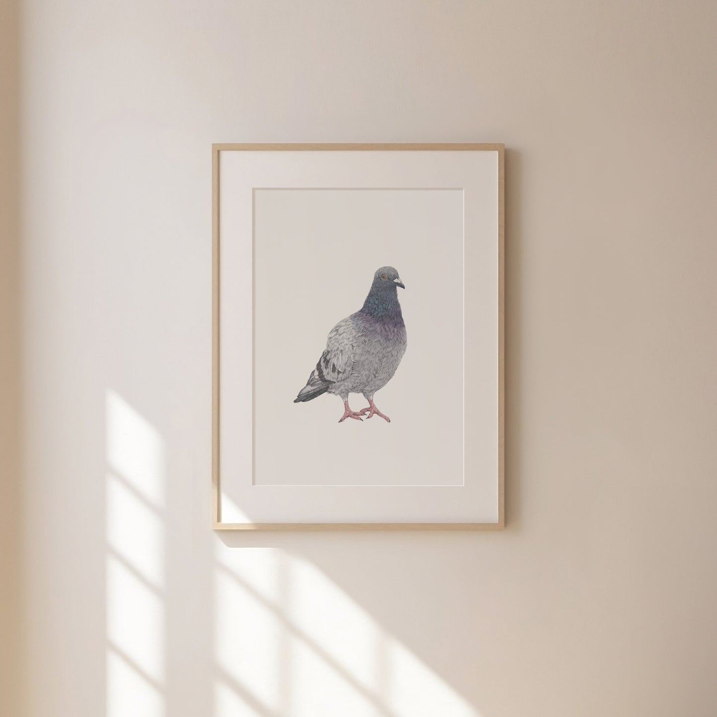 Pigeon Print