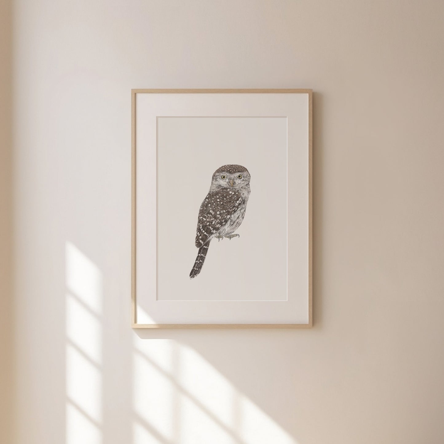 Owl Print