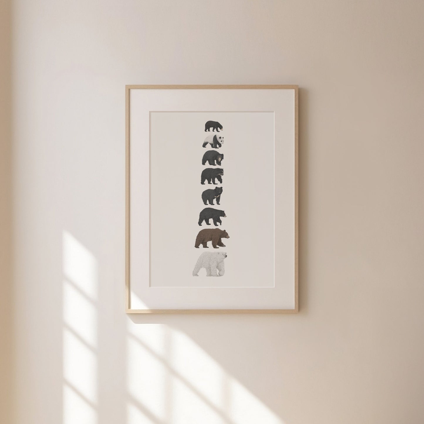 8 Bear Species Print