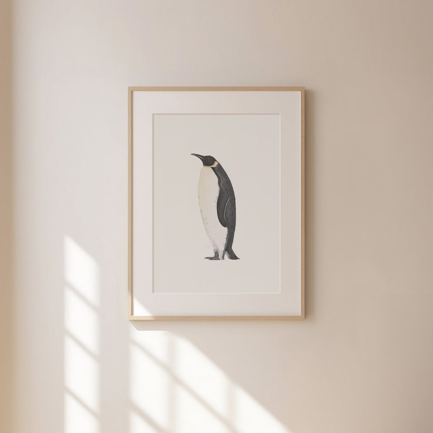 Emperor Penguin Print
