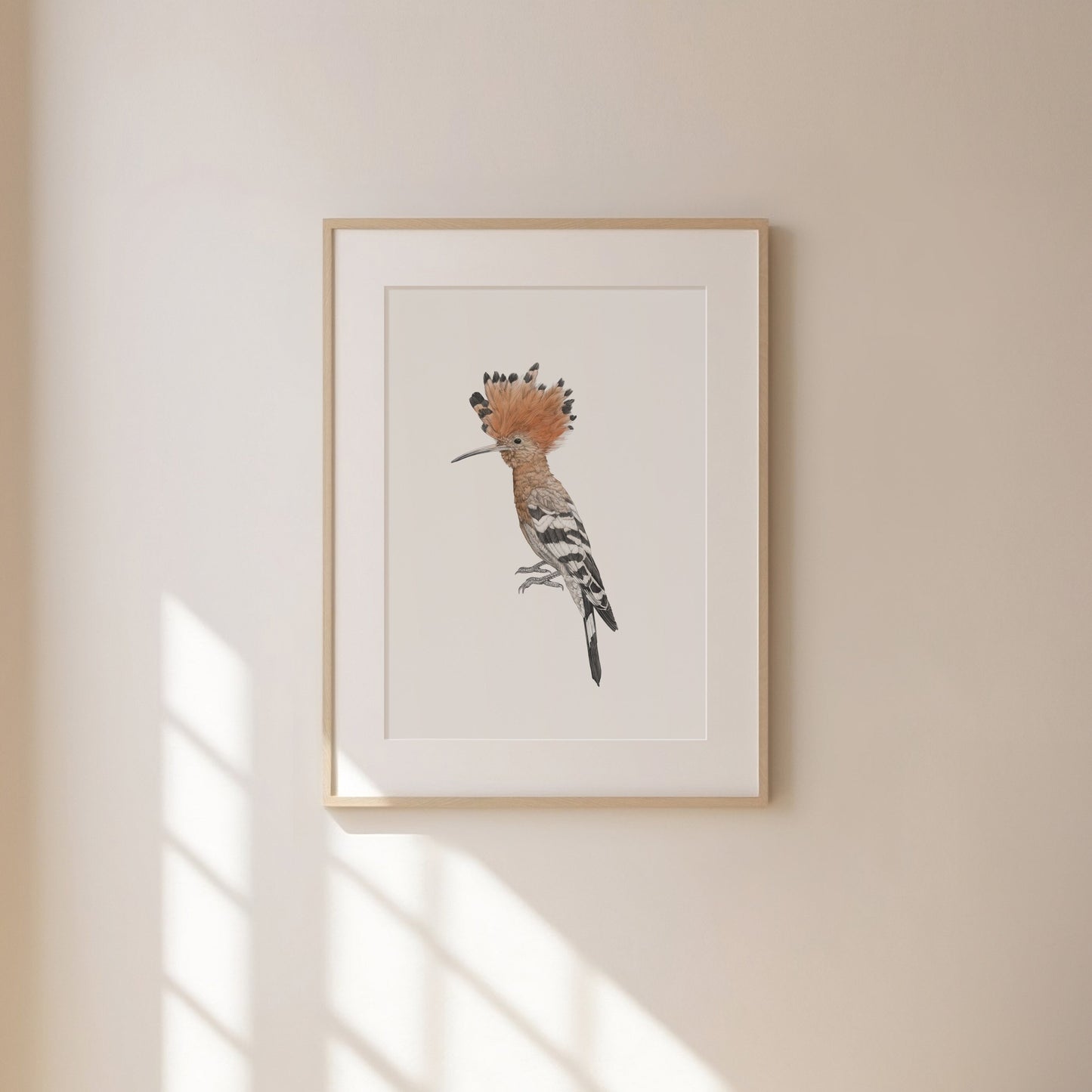 Hoopoe Print