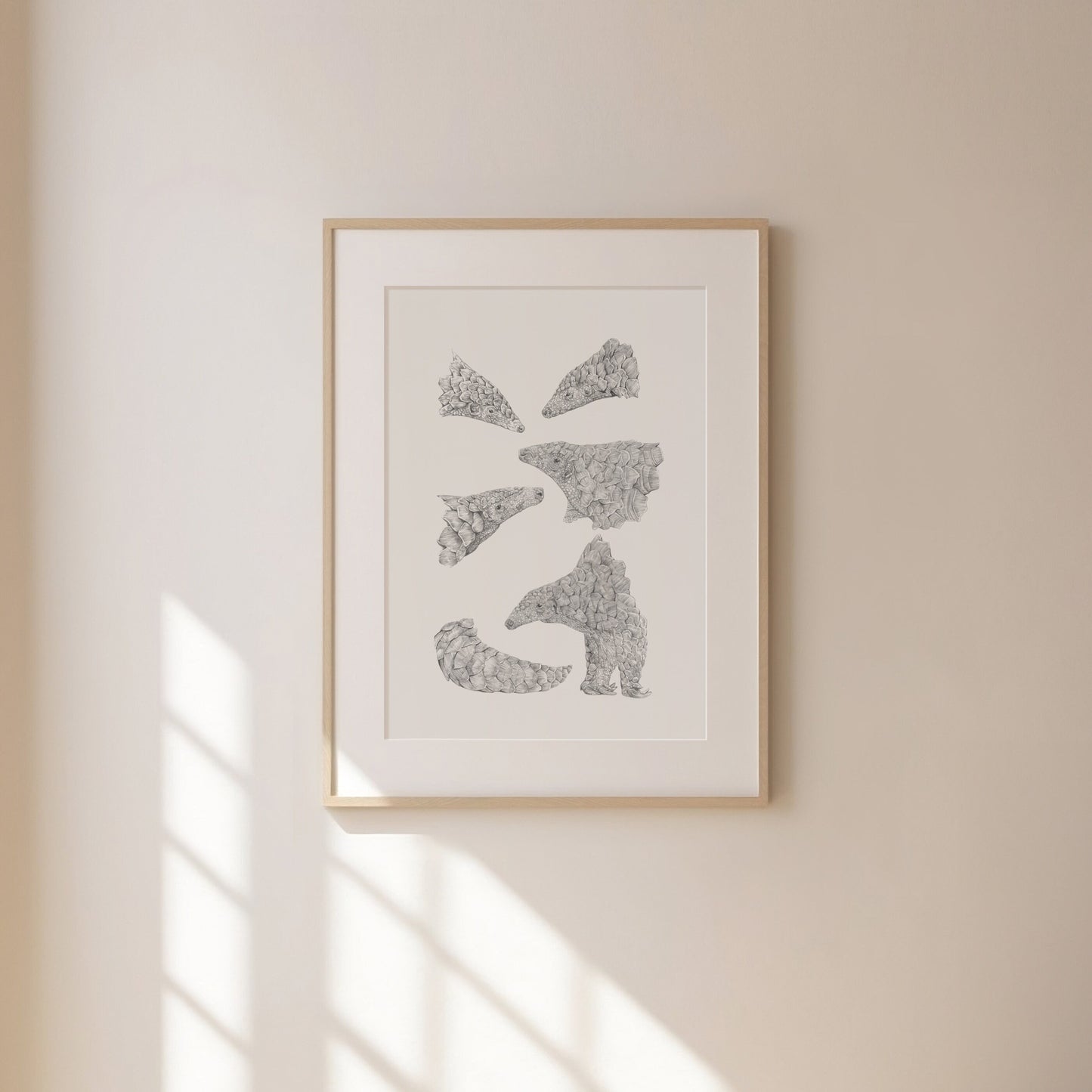 Pangolin Sketches Print