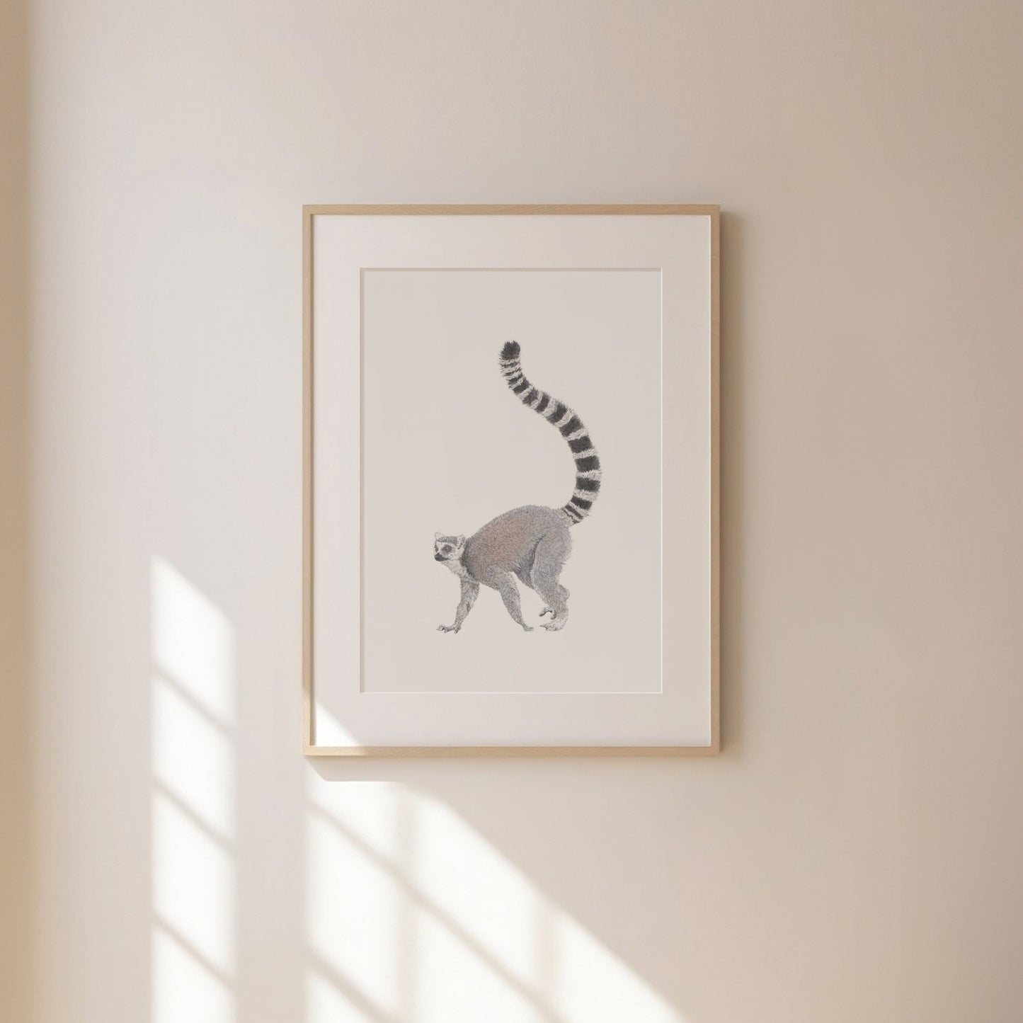Ring Tailed Lemur Print