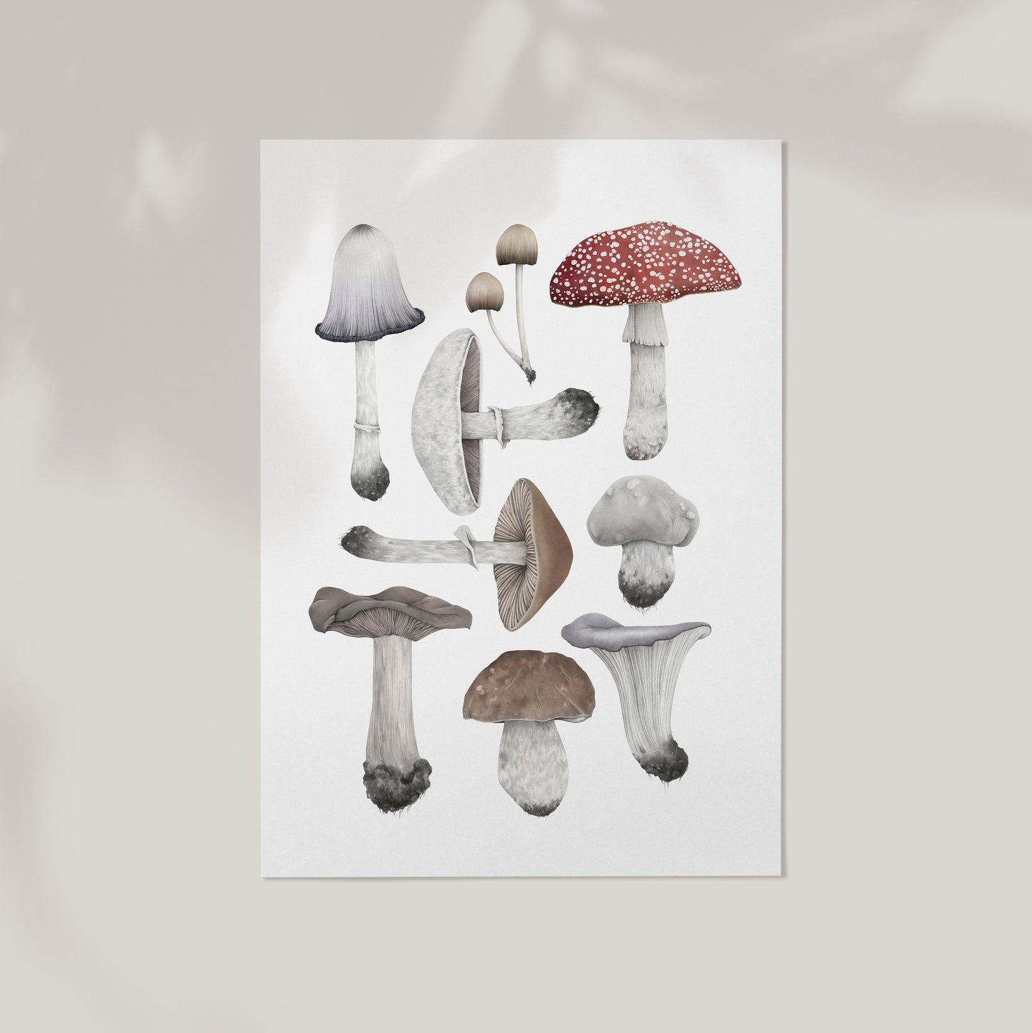 Mushroom Species Print