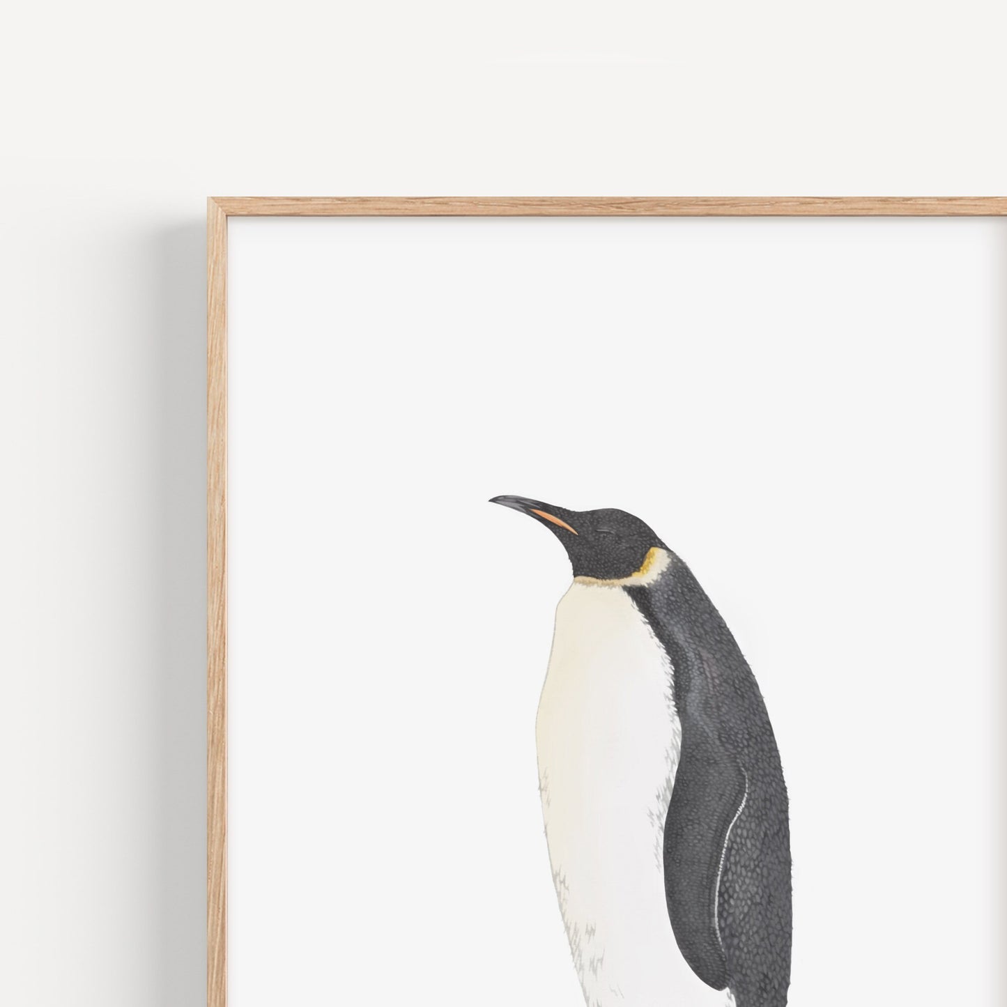 Emperor Penguin Print