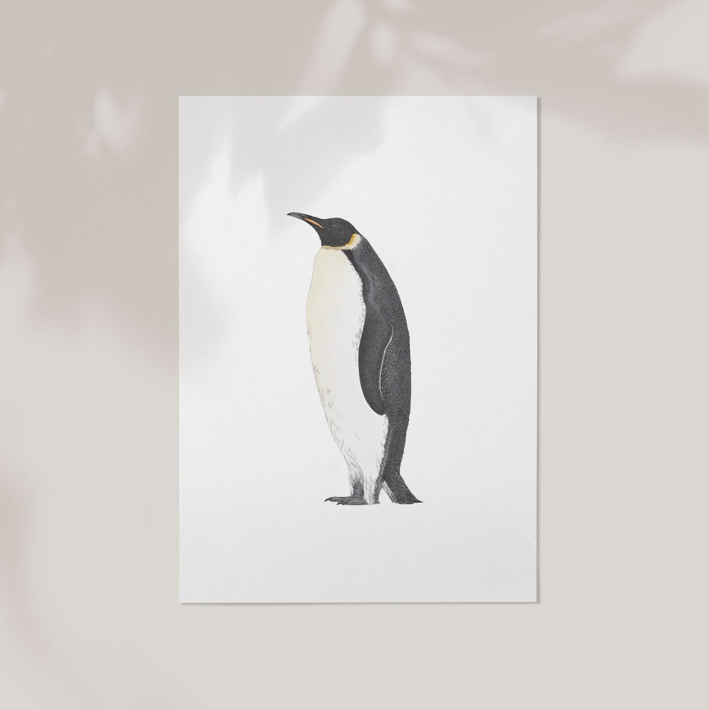 Emperor Penguin Print