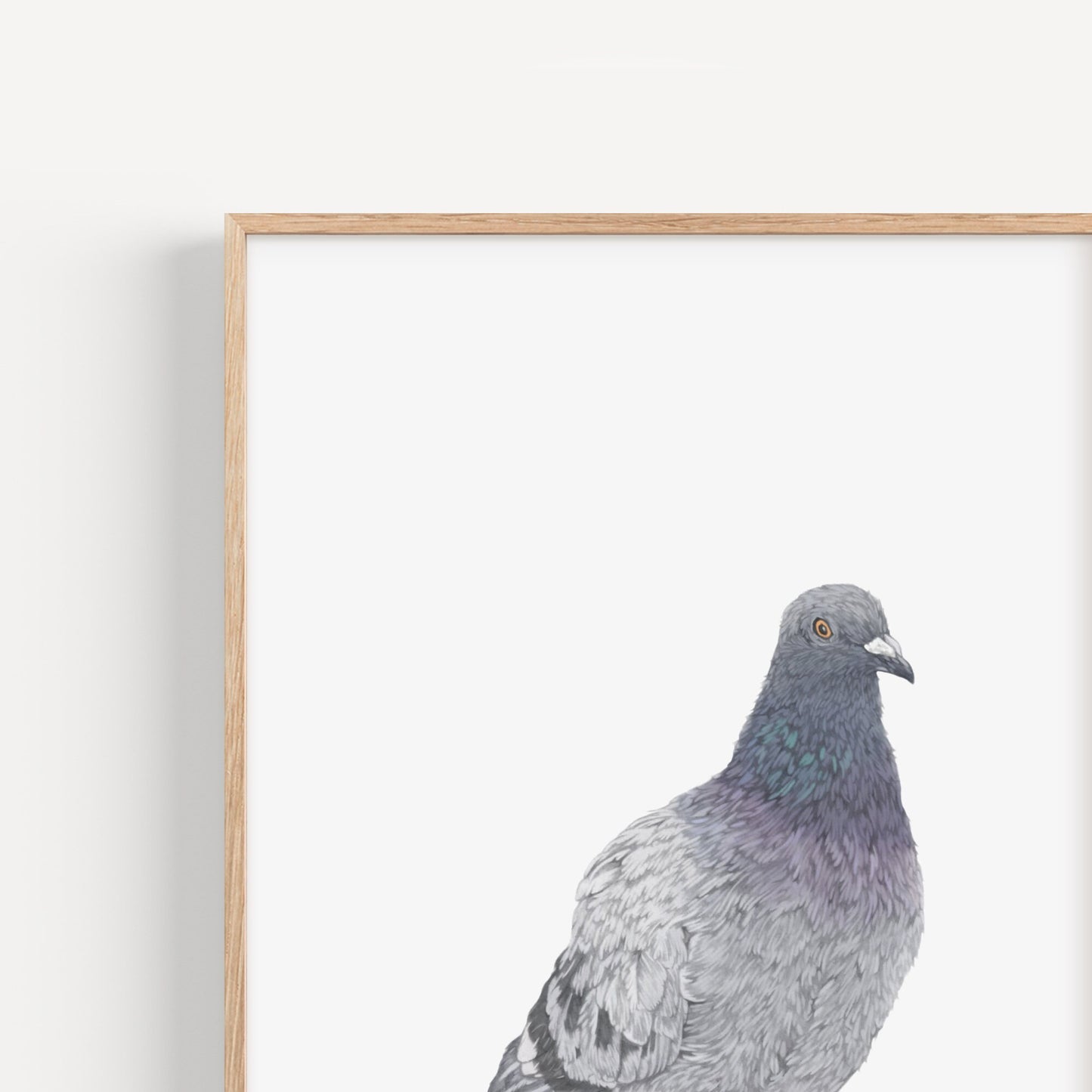 Pigeon Print
