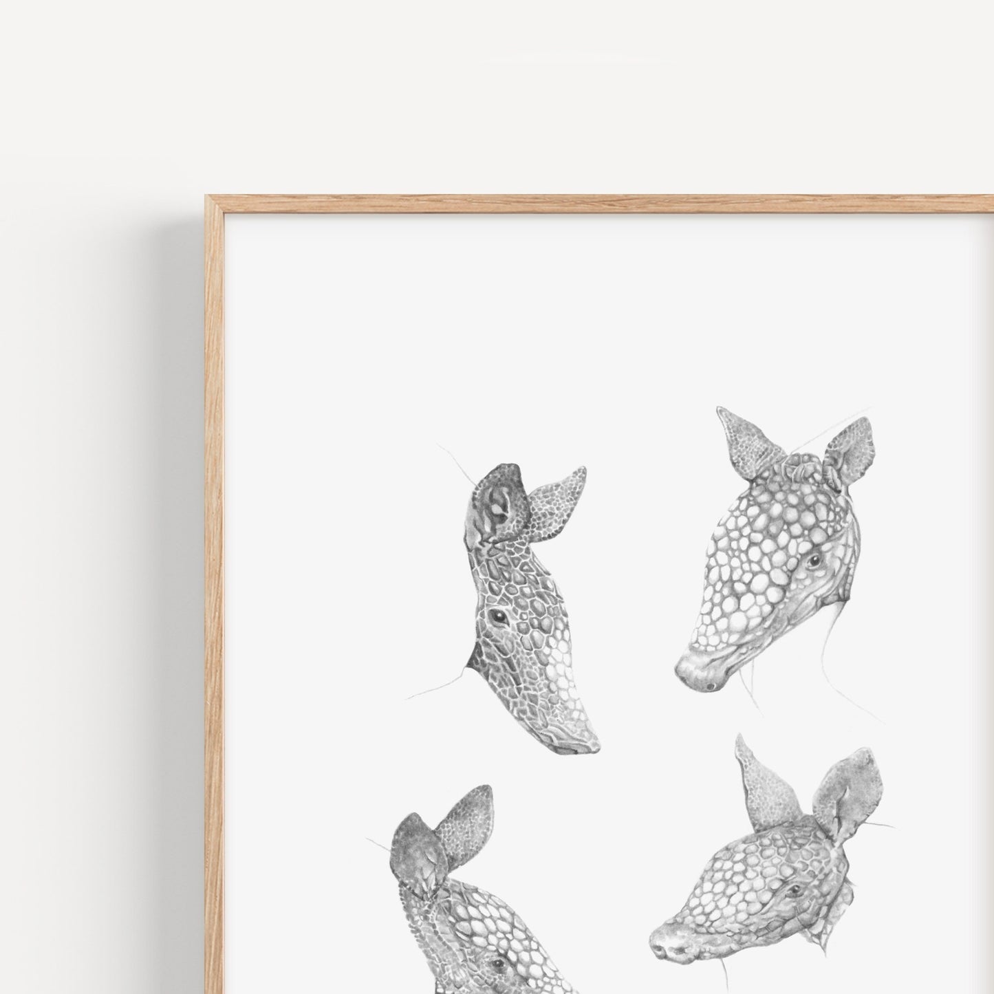 Armadillo Sketches Print