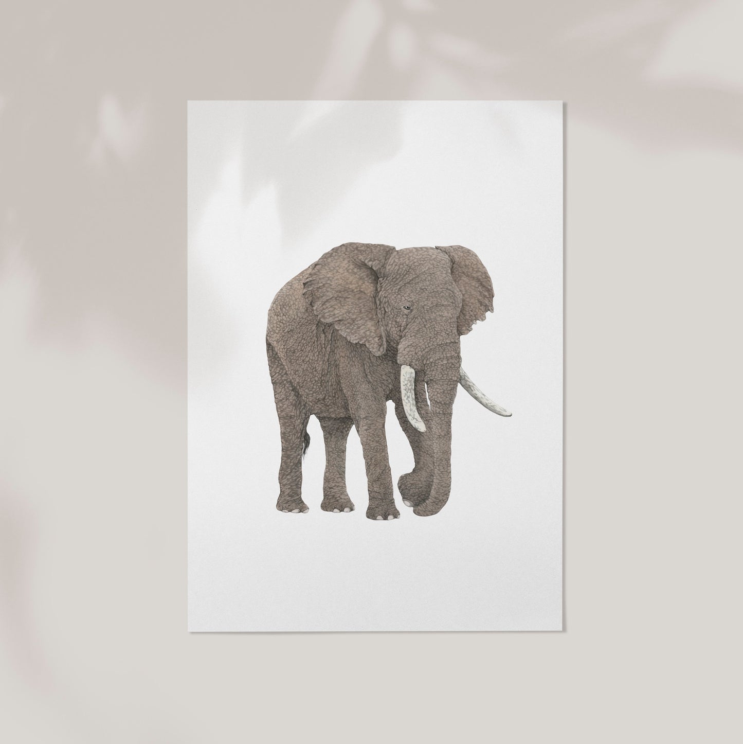 Elephant Print