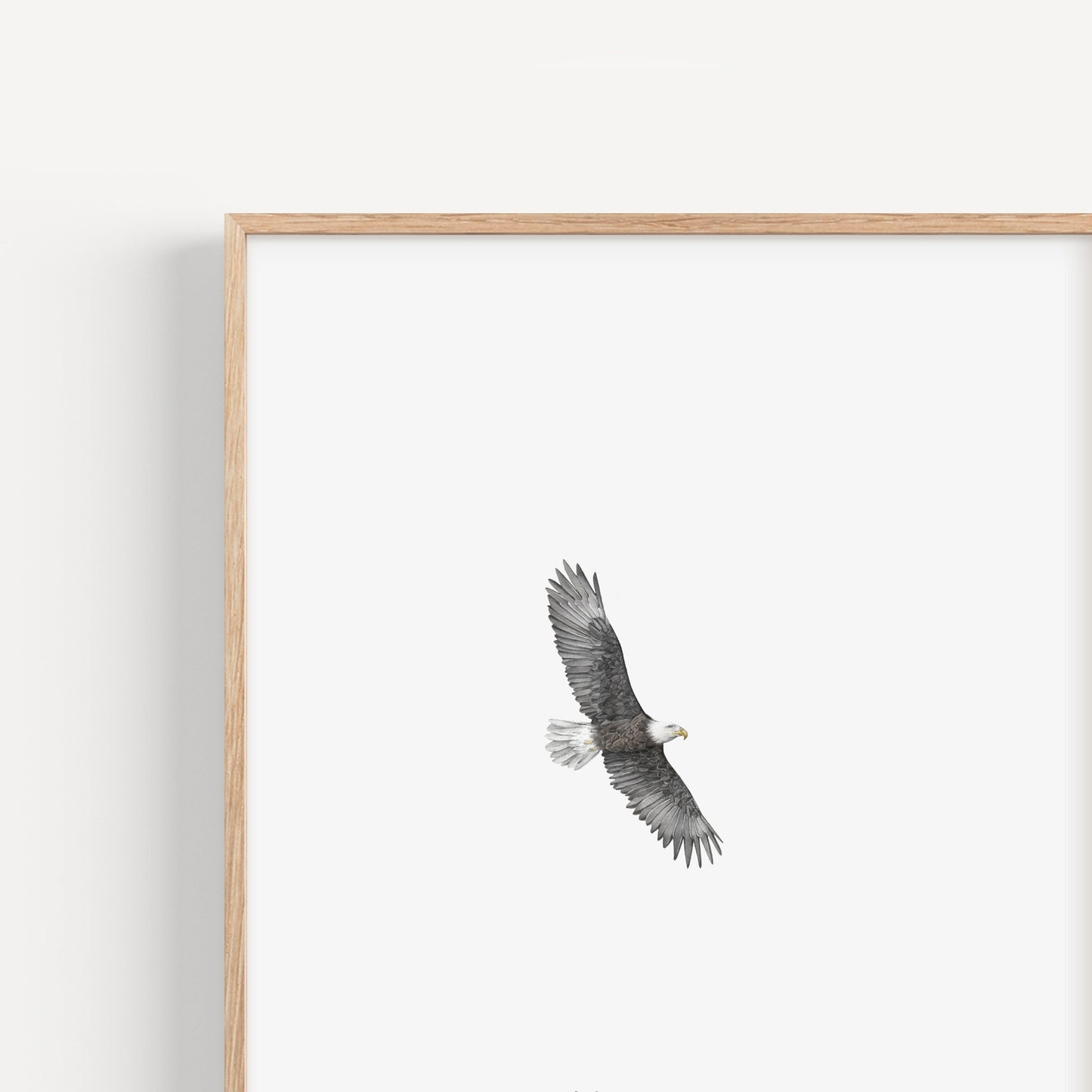 Eagle Print