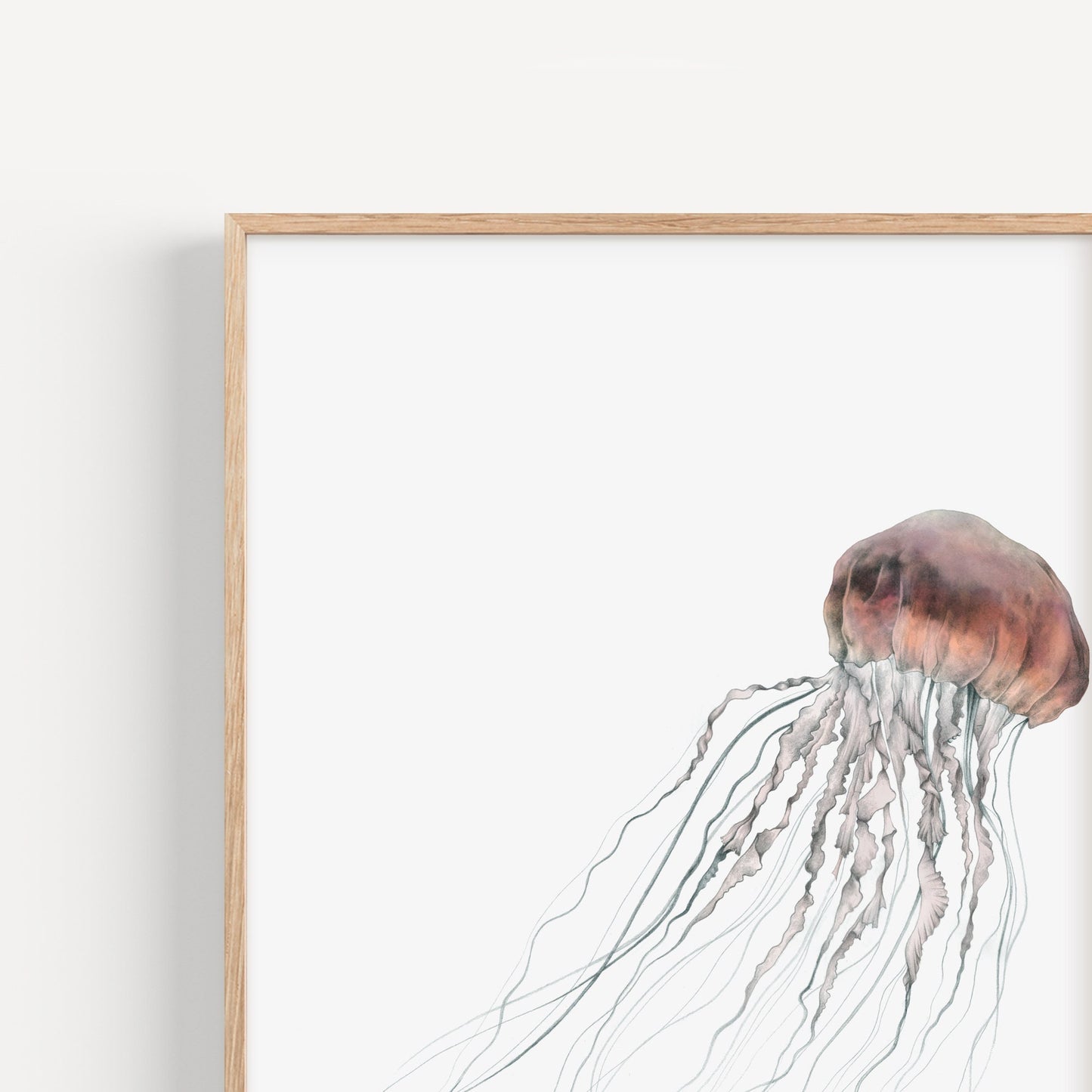 Jellyfish Print