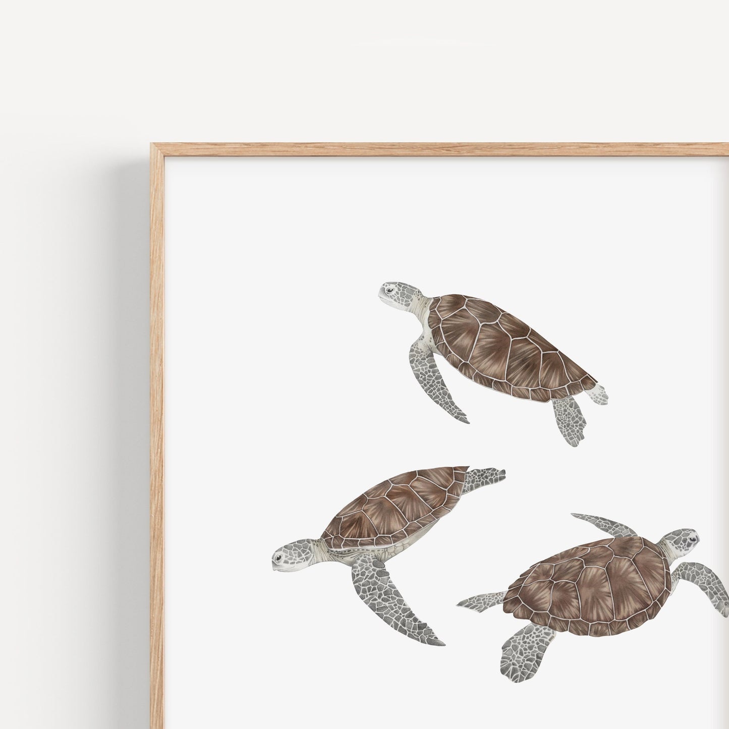 Sea Turtle Print
