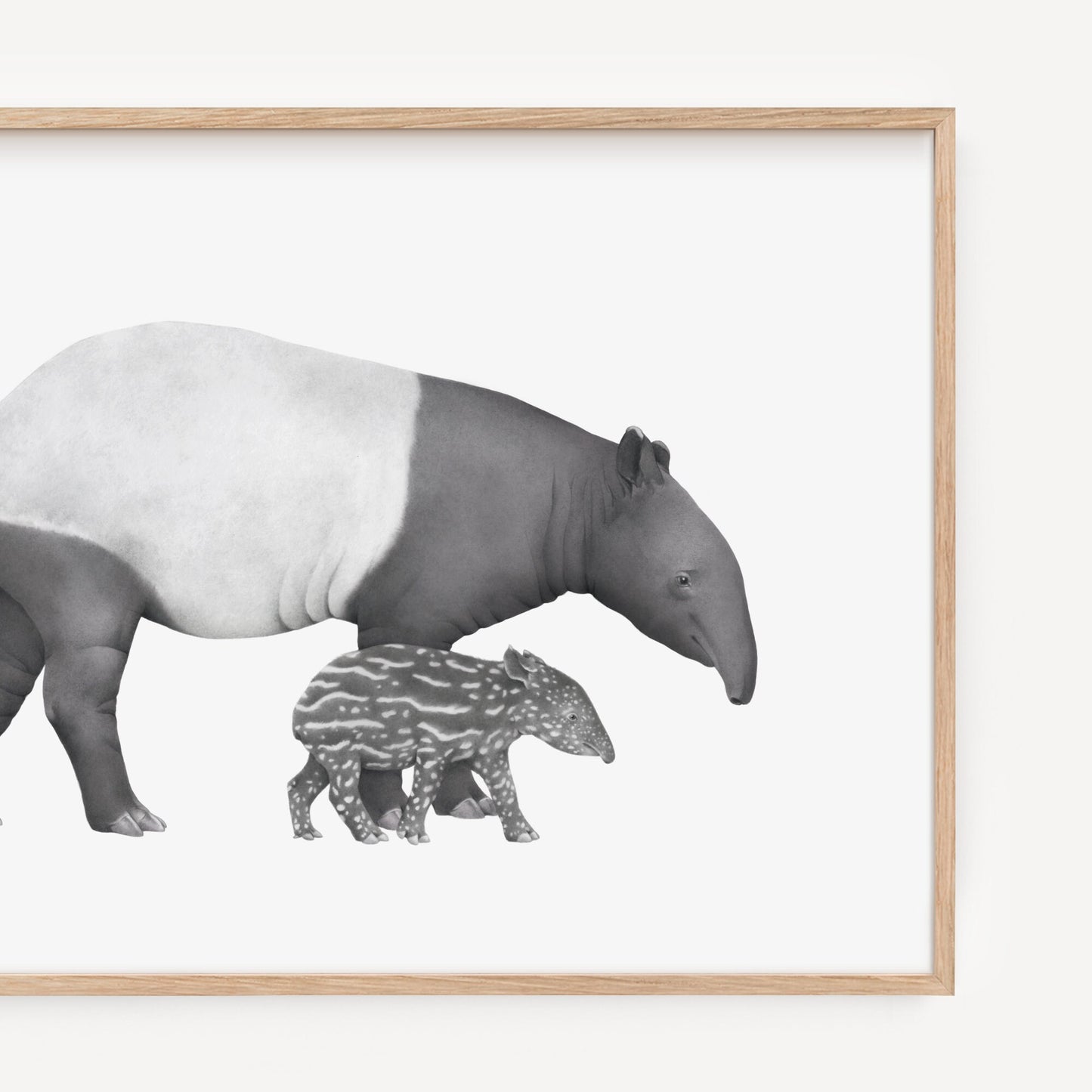 Tapir Mother and Baby Print
