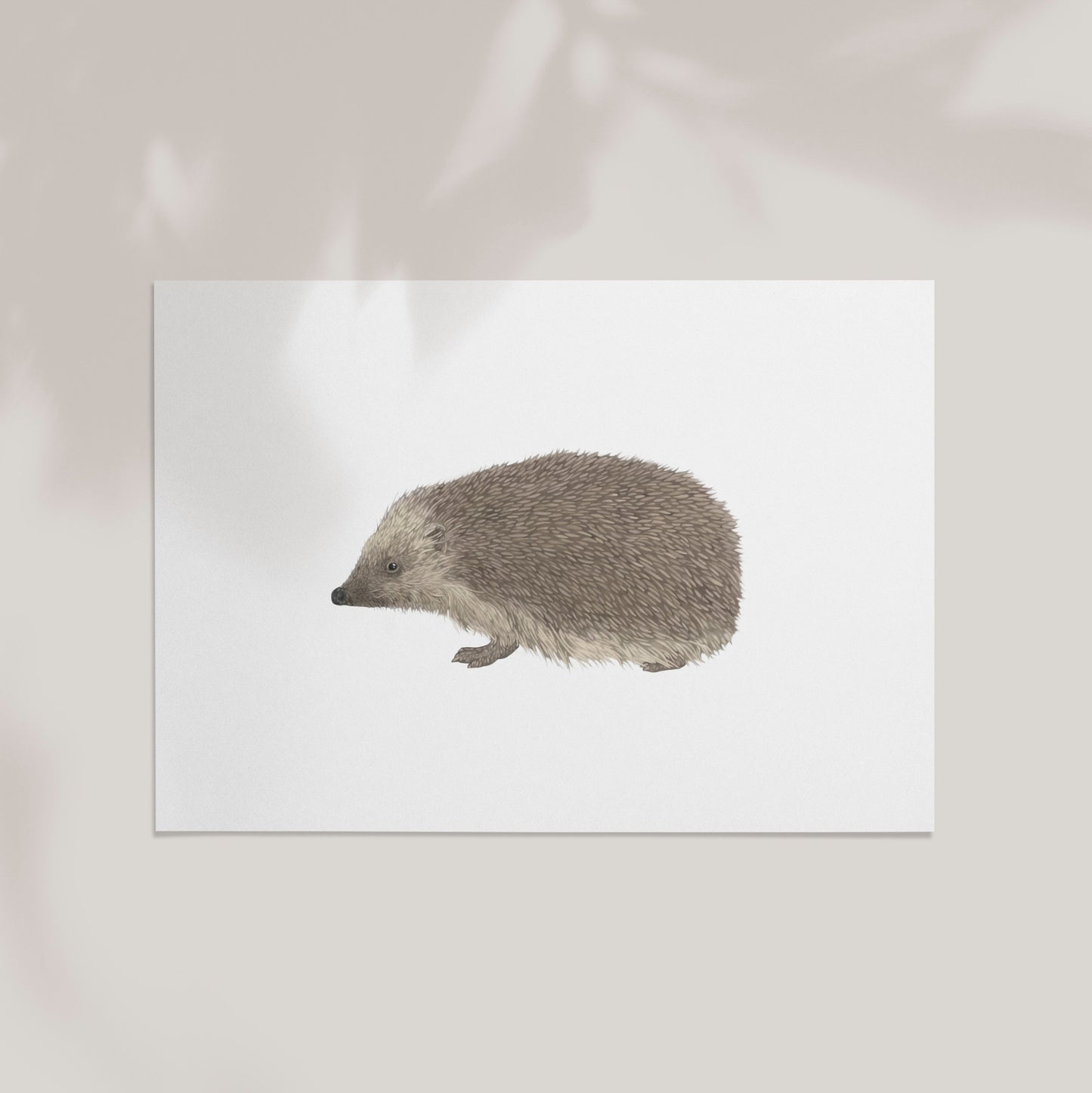 Hedgehog Print